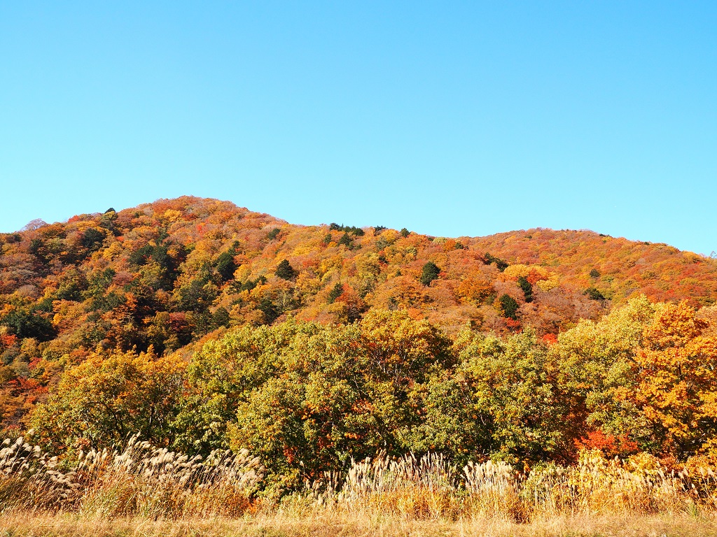 紅葉真っ盛り 一生に一度は行きたい日本の絶景 西沢渓谷に紅葉狩りへ やりたいことをぜんぶやろう 気ままな人生